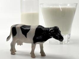 vaca y leche para el día mundial de la leche Foto