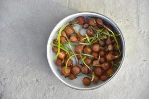 Onion for seeds in spring sowing in a bucket photo
