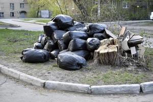 Black garbage bags after street cleaning photo