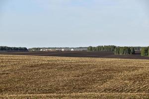 campo agrícola y bosque contra el cielo foto