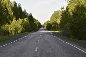 Forest expressway during the day in summer photo