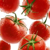 Red tomatoes levitate on a white background photo