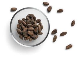 Cocoa beans on a white background. The view from the top photo