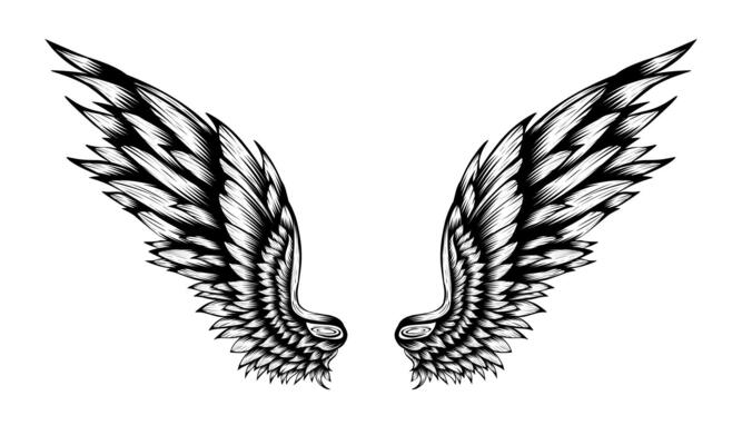 Vector tattoo of angel wings vintage design
