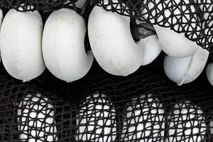 Black fishing net with white corks in Santona harbour, Cantabria, Spain. Horizontal image.