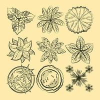 Sketch Plant for Element Architecture vector