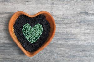 Heart shape of home grown young green vegetable seedling sow and grow in heart shaped terracotta pot on bright aged wooden potting station in the garden with copy space photo