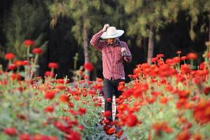Asian gardener holding garden fork while working in red zinnia farm for cut flower business with copy space photo