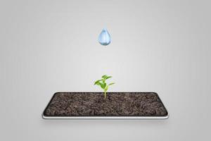 Drop of water falls on a plant growing from a phone display. Concept of automatic irrigation with the help of technology photo