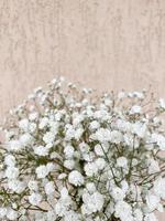 gypsophila bouquet, space for text. bouquet of white flowers. small flowers, spring photo