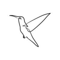 Continuous one line art drawing of bird vector