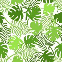 patrón sin costuras con monstera y hojas de palma en una ilustración de vector de fondo blanco en un estilo plano