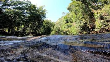 flujo de río poco profundo de la naturaleza de tailandia en la escena del entorno del bosque verde video