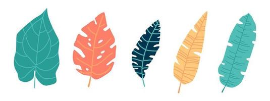 set of colorful leaves on white background vector illustration design