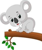 Cute koala cartoon vector