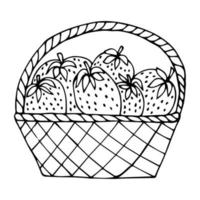 Strawberries in the basket.Box.Doodles ,vector,black and white illustration,coloring book for adults and children. vector
