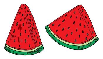 Vector watermelon slices isolated on white with seeds. Cute drawing.