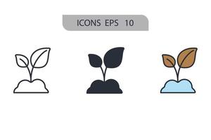 Phytotherapy icons  symbol vector elements for infographic web