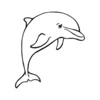 Hand drawn dolphin. Vector illustration in sketch style. Jumping dolphin isolated on white background.