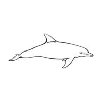 Dolphin. Hand drawn illustration converted to vector. Vector with animal underwater.