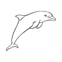 Hand drawn dolphin. Vector illustration in sketch style. Jumping dolphin isolated on white background.