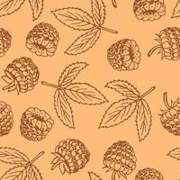 Seamless pattern with raspberry. Hand drawn illustration converted to vector. vector