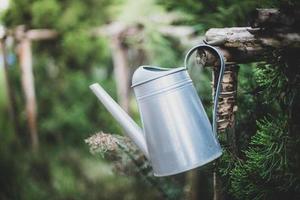 Metal watering can be Placed above the pine, in the garden, at evening time. soft focus.shallow focus effect. photo