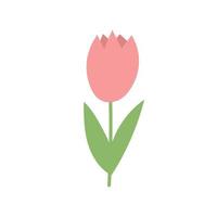 Simple cartoon icon on white background - tulip blooms. 8 March vector