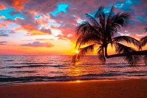 silueta de palmeras hermosa puesta de sol en el fondo de la playa del mar tropical para viajar en tiempo de relajación de vacaciones,