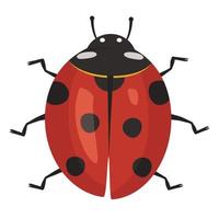 Cute red ladybug icon with black spots. Summer bright insect. Vector flat illustration