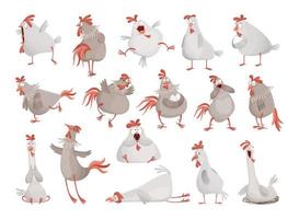 Funny Hens and Roosters