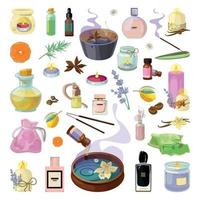 Set of Aromatic Accessories vector