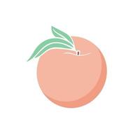 Single peach with leaf isolated vector