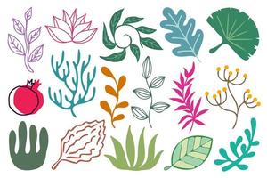 Branches and leaves set. Collection of botanical design elements branches and leaves. Colorful foliage, plant decorations set, vector illustration.