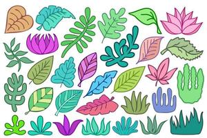 Grass, leaves, branches, flowers isolated on white background. Botanical plant design elements, abstract, stylized shapes, colorful icons vector set.