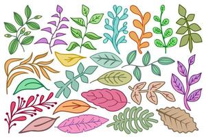 Branches and leaves set. Collection of botanical design elements branches and leaves. Colorful foliage, plant decorations set, vector illustration.