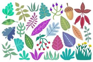 colección de hojas y plantas. conjunto botánico con elementos de diseño de plantas aislados sobre fondo blanco. coloridas hojas estilizadas, ramas, plantas, elementos decorativos de diseño abstracto, vector