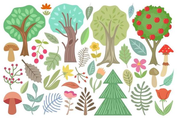 forest trees and plants collection, isolated on white background, botanical set with mushrooms, flowers, berries, leaves, trees, branches vector illustration.