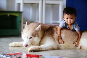 Asian boy playing with Siberian Husky at home. Kid with dog. photo