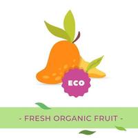 diseño de concepto de fruta de mango orgánico fresco de vector