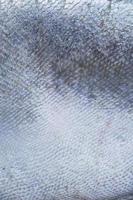 fondo de textura de escamas de pescado foto