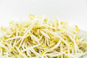 Bean Sprouts on White Background photo