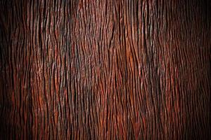 Textura del uso de madera de corteza como fondo natural foto