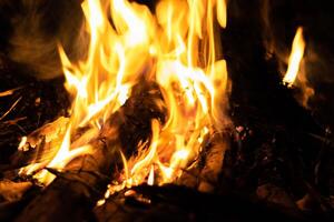 Fire flames on a black background.Abstract fiery texture. Realistic fire flames burn movement frame. Texture for Design. The texture of fire. Fire flames background. Blazing campfire. Sensitive focus. photo