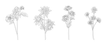 set of hand drawn black and white floral outlines. hand drawn flower stalk. Design elements for greeting cards and invitations vector