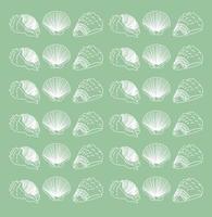 seashells background backdrop texture vector