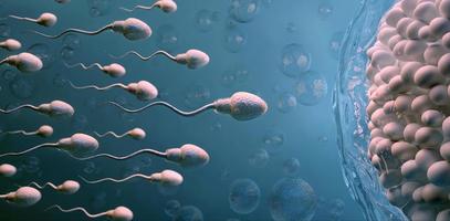 Sperm and egg cell.Natural fertilization. 3d illustration on dark background photo