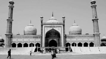 delhi, índia - 15 de abril de 2022 - turistas indianos não identificados visitando jama masjid durante a temporada de ramzan, em delhi 6, índia. jama masjid é a maior e talvez a mais magnífica mesquita da índia video