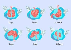 Human internal organs anatomical icons set, flat vector illustration isolated on background. Heart, stomach, liver, lungs and kidneys. Medical biological body parts structure symbols collection.