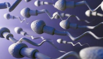 3d illustration of sperm cells moving to the left photo